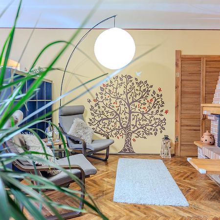 Tree House-Old Town Brasov Appartement Buitenkant foto