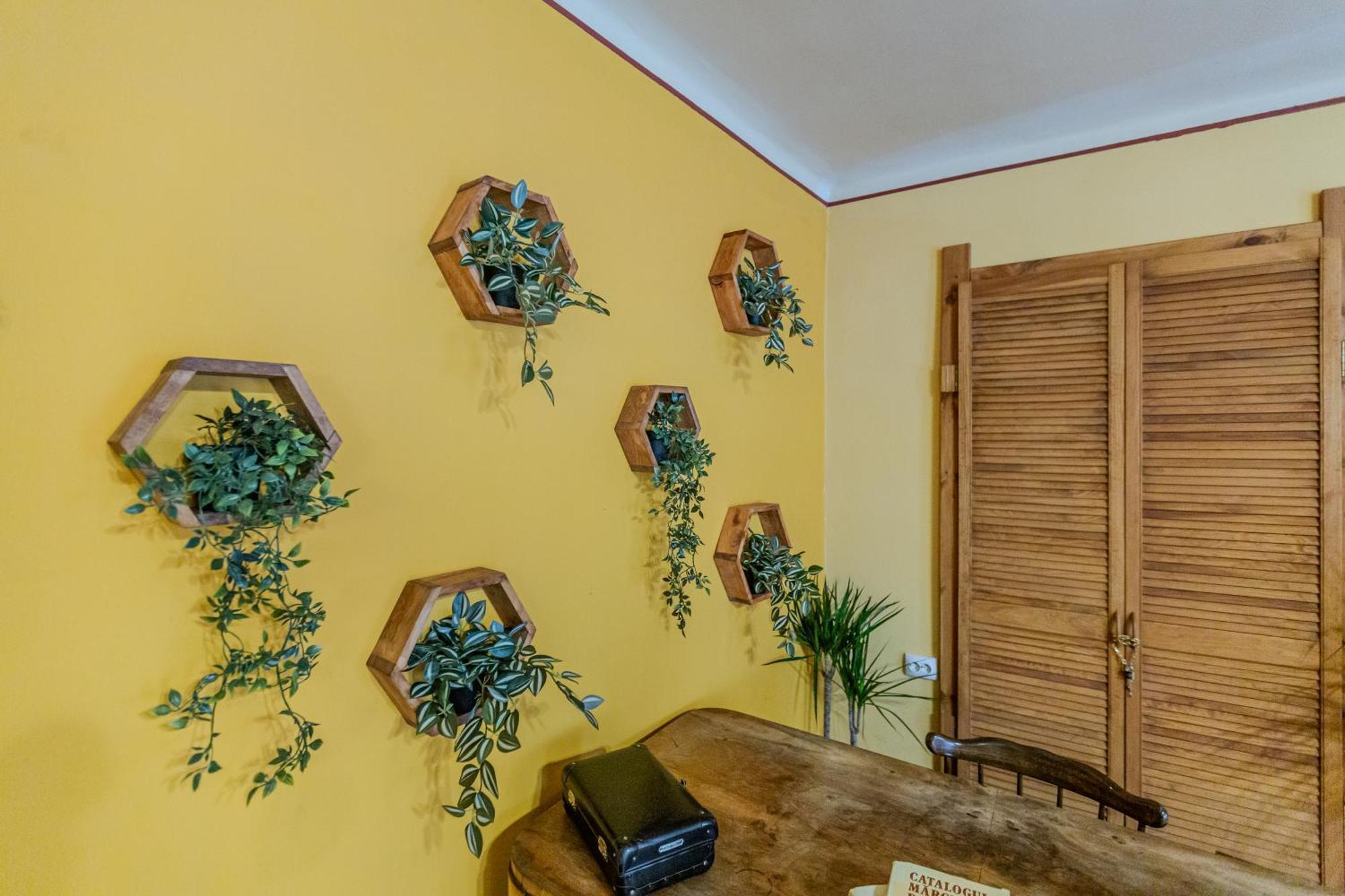 Tree House-Old Town Brasov Appartement Buitenkant foto