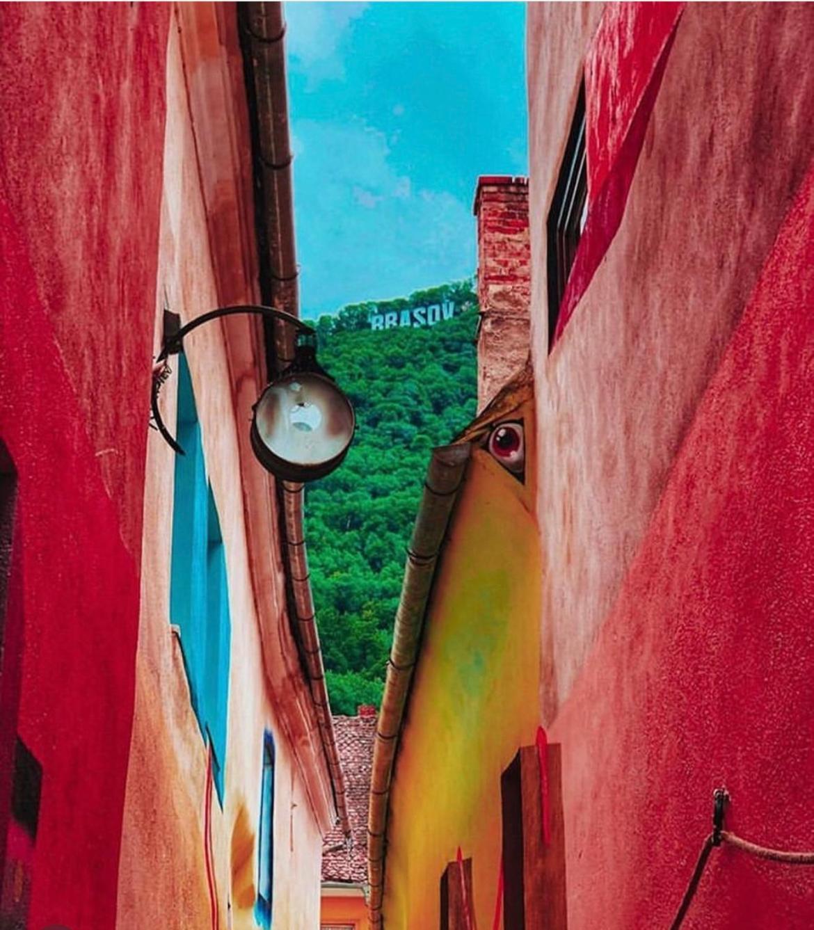 Tree House-Old Town Brasov Appartement Buitenkant foto